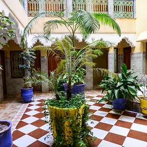 Faouzi *** Marrakesz